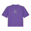 Women’s Stella Nova Boxy T Shirt  Thumbnail