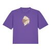 Women’s Stella Nova Boxy T Shirt  Thumbnail